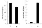 Human STAT3 (Total/Phospho) InstantOne™ ELISA Kit