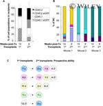 CD45.1 Antibody in Flow Cytometry (Flow)