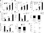 CD235a (Glycophorin A) Antibody in Flow Cytometry (Flow)