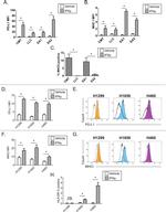 MHC Class II (I-A/I-E) Antibody in Flow Cytometry (Flow)