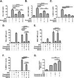 MHC Class I (H-2Kd/H-2Dd) Antibody in Flow Cytometry (Flow)