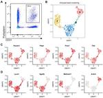 Podoplanin Antibody in Flow Cytometry (Flow)