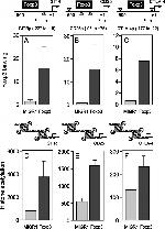 FOXP3 Antibody in ChIP Assay (ChIP)