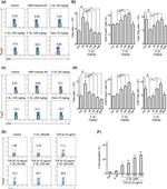 FOXP3 Antibody in Flow Cytometry (Flow)