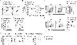 IgM Antibody in ELISA (ELISA)