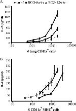 IL-2 Antibody in ELISA (ELISA)