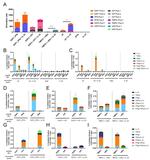 IL-2 Antibody in Flow Cytometry (Flow)