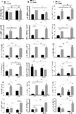 IL-21 Antibody in Flow Cytometry (Flow)