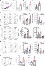 IL-22 Antibody in Flow Cytometry (Flow)