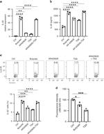 IL-22 Antibody in Flow Cytometry (Flow)