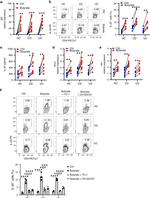 IL-22 Antibody in Flow Cytometry (Flow)