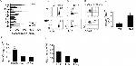 IL-22 Antibody in ELISA (ELISA)