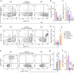 CD335 (NKp46) Antibody in Flow Cytometry (Flow)