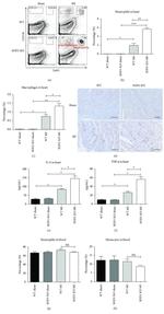 TNF alpha Antibody in ELISA (ELISA)