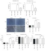 TNF alpha Antibody in ELISA (ELISA)