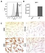 CD221 (IGF1R) Antibody in Flow Cytometry (Flow)