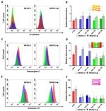 E-cadherin Antibody in Flow Cytometry (Flow)