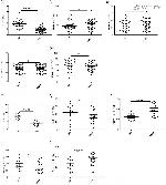 TIGIT Antibody in Flow Cytometry (Flow)