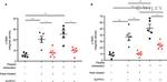 Alpha-Smooth Muscle Actin Antibody in Immunocytochemistry (ICC/IF)