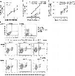 CD4 Antibody in Flow Cytometry (Flow)