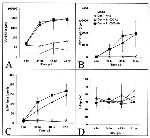 CCL5 (RANTES) Antibody in ELISA (ELISA)