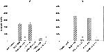 IFN gamma Antibody in ELISA (ELISA)