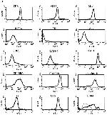 CD5 Antibody in Flow Cytometry (Flow)