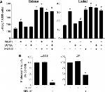 IL-6 Antibody in ELISA (ELISA)