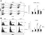 F4/80 Antibody in Flow Cytometry (Flow)