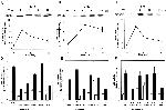 ERK1/ERK2 Antibody in Gel Shift (GS)