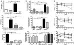 EGF Antibody in Neutralization (Neu)