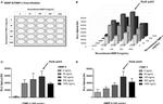 TIMP1 Antibody in ELISA (ELISA)