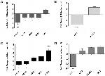 H3K9ac Antibody in ChIP Assay (ChIP)