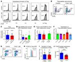 CD4 Antibody in Flow Cytometry (Flow)