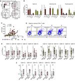 CD4 Antibody in Flow Cytometry (Flow)