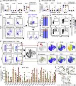 CD4 Antibody in Flow Cytometry (Flow)