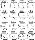 4EBP1 Antibody in Western Blot (WB)