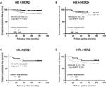 PRKCDBP Antibody in Immunohistochemistry (IHC)