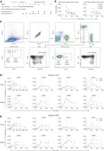 CD27 Antibody in Flow Cytometry (Flow)