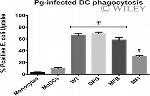 CD14 Antibody in Flow Cytometry (Flow)