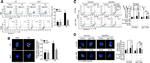 Ly-6G/Ly-6C Antibody in Flow Cytometry (Flow)