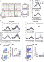 CD27 Antibody in Flow Cytometry (Flow)