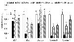 Claudin 7 Antibody in Western Blot (WB)