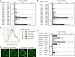 CD2 Antibody in Flow Cytometry (Flow)