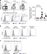 CD3e Antibody in Flow Cytometry (Flow)