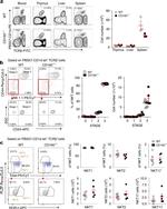 NK1.1 Antibody in Flow Cytometry (Flow)