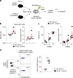 TCR beta Antibody in Flow Cytometry (Flow)