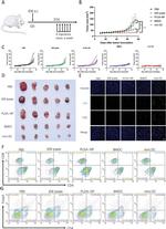 CD8a Antibody in Flow Cytometry (Flow)