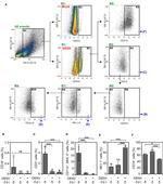 CD11c Antibody in Flow Cytometry (Flow)