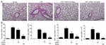 Ly-6G/Ly-6C Antibody in Flow Cytometry (Flow)